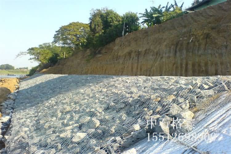 雷諾護墊.jpg 雷諾護墊.jpg