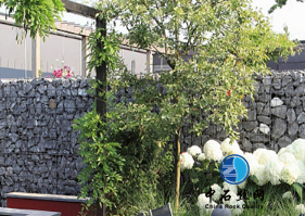 微信圖片_20200902085537.png 微信圖片_20200902085537.png