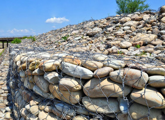 10生態固角.jpg 10生態固角.jpg