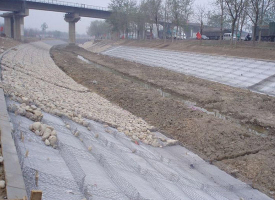 bgwhd02.jpg bgwhd02.jpg